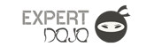expert-1