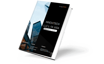 l1a IT company business plan cover